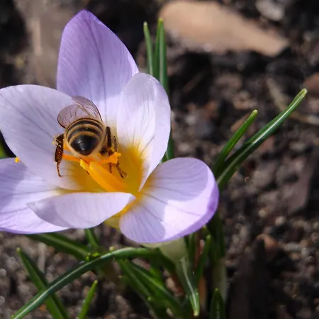 3 Sterne Fh Σπίτι διακοπών