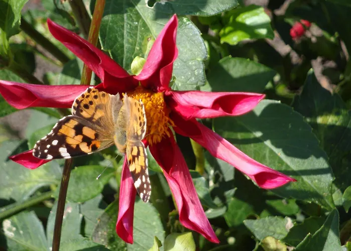 3 Sterne Fh 푸르슈텐발데